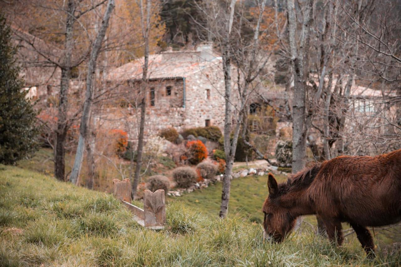 Maison D'Hotes Le Hameau De La Mure Saint-Laurent-du-Pape エクステリア 写真