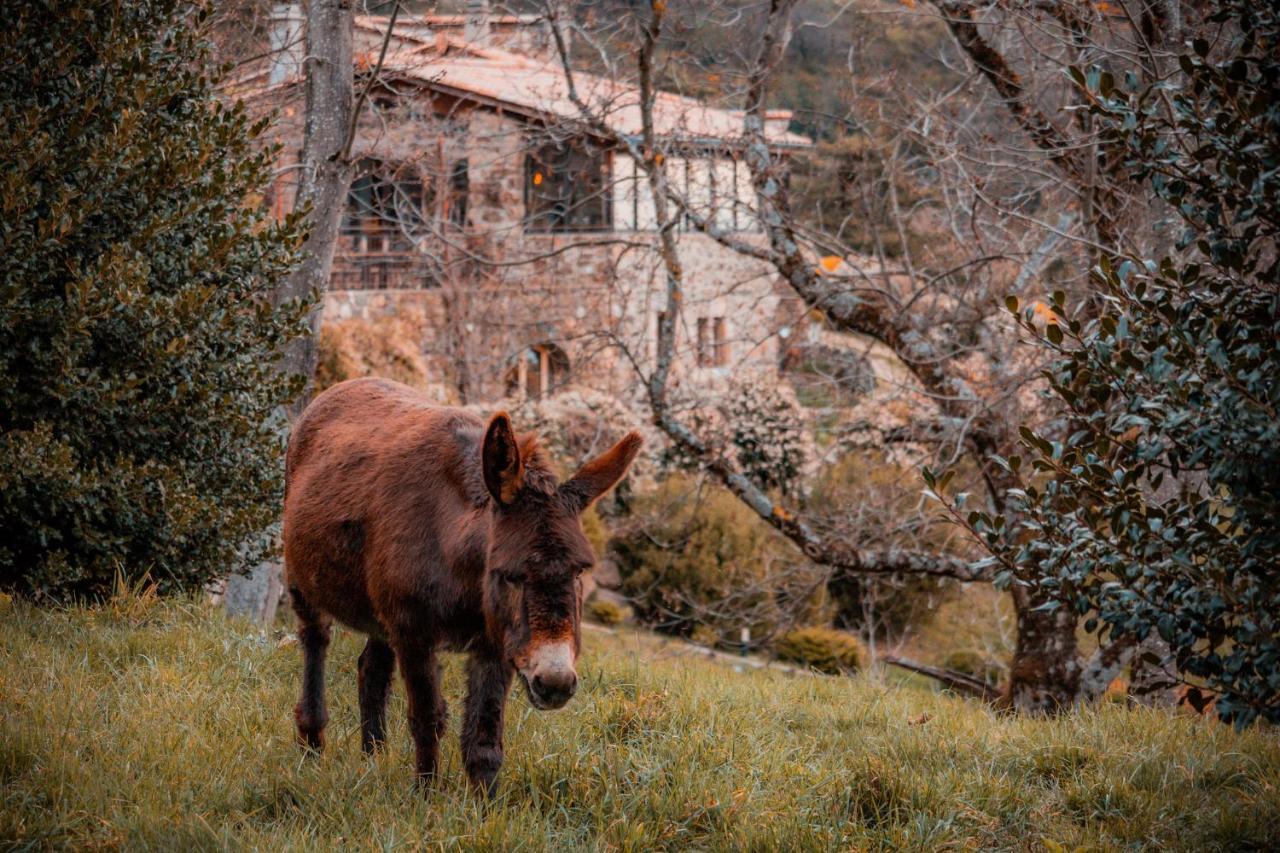 Maison D'Hotes Le Hameau De La Mure Saint-Laurent-du-Pape エクステリア 写真