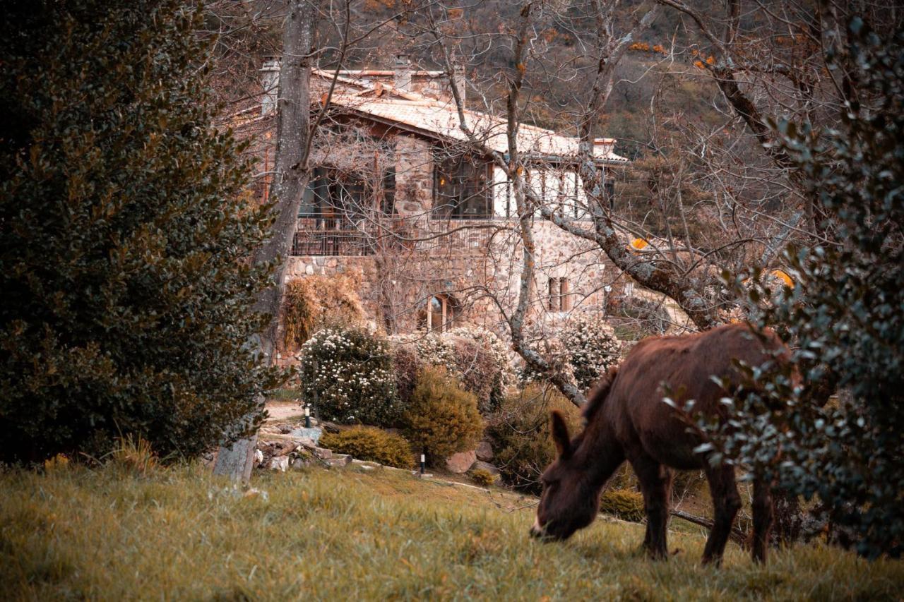 Maison D'Hotes Le Hameau De La Mure Saint-Laurent-du-Pape エクステリア 写真
