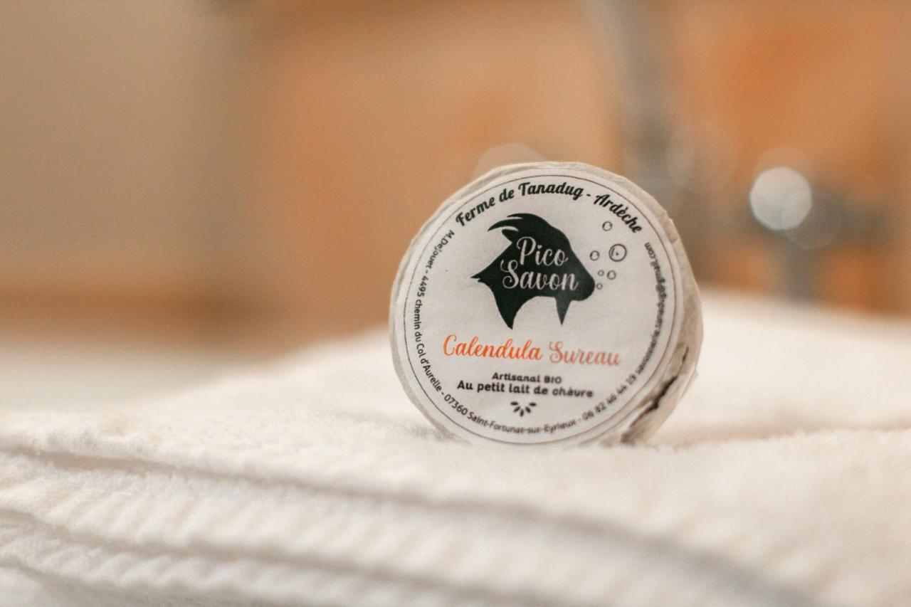 Maison D'Hotes Le Hameau De La Mure Saint-Laurent-du-Pape エクステリア 写真