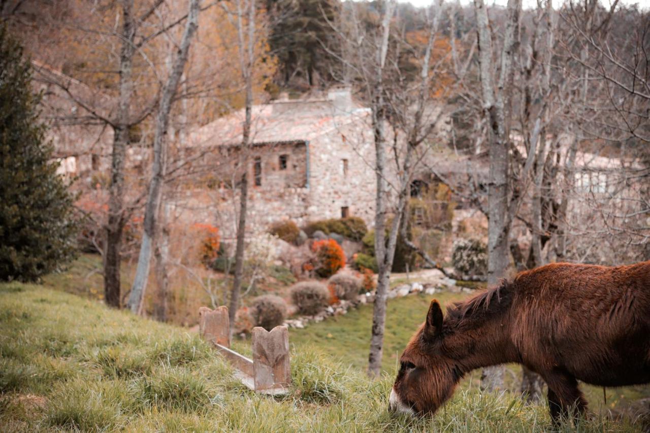 Maison D'Hotes Le Hameau De La Mure Saint-Laurent-du-Pape エクステリア 写真